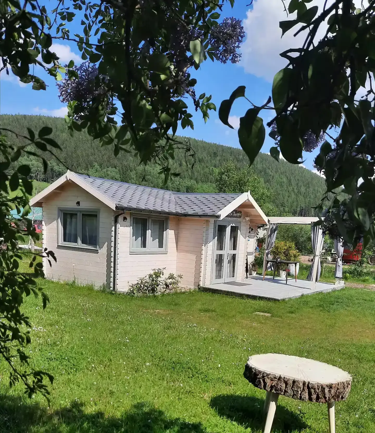 Blick auf das Ferienhaus vom Garten