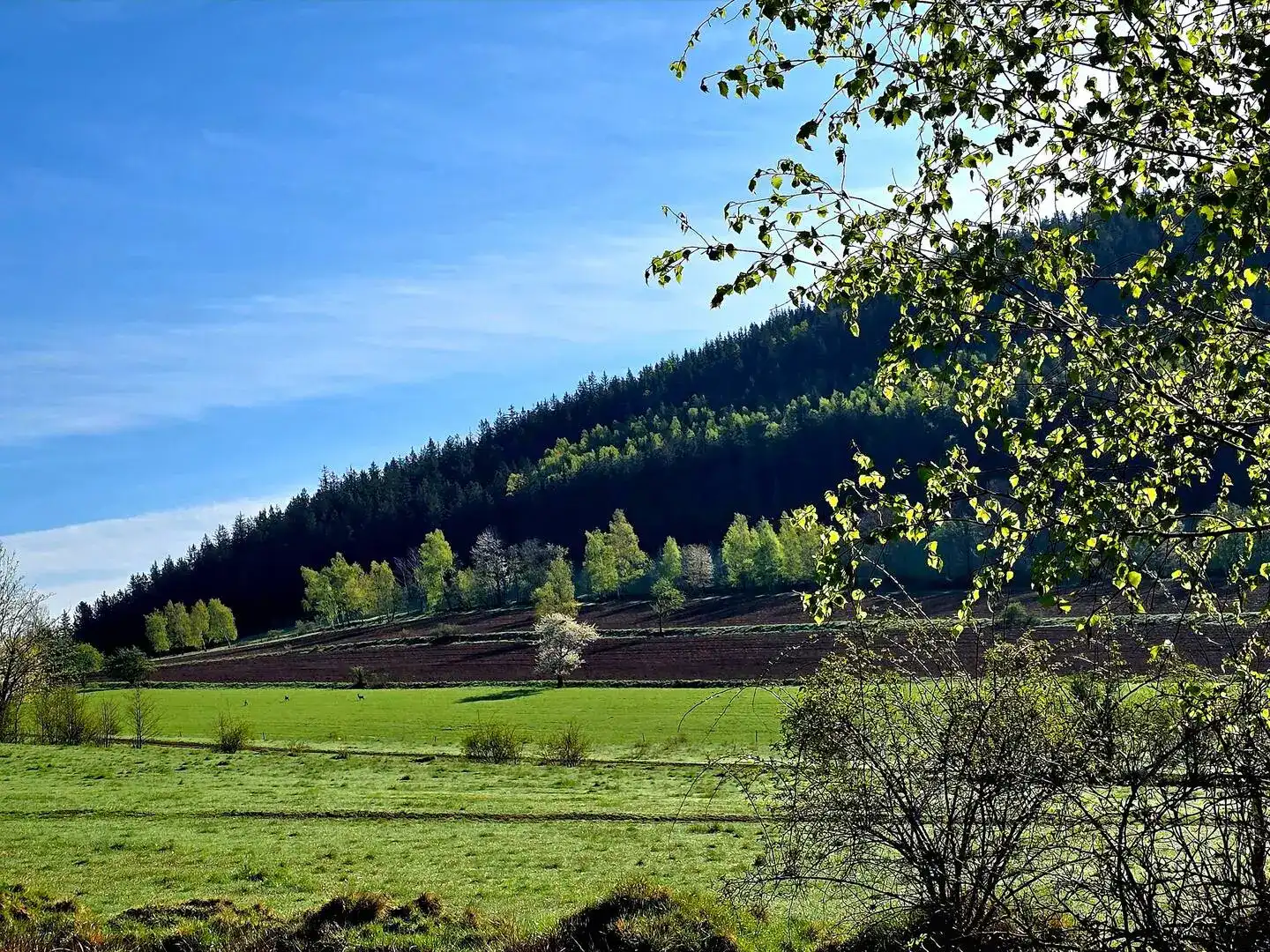 Berglandschaft bei Paczyn