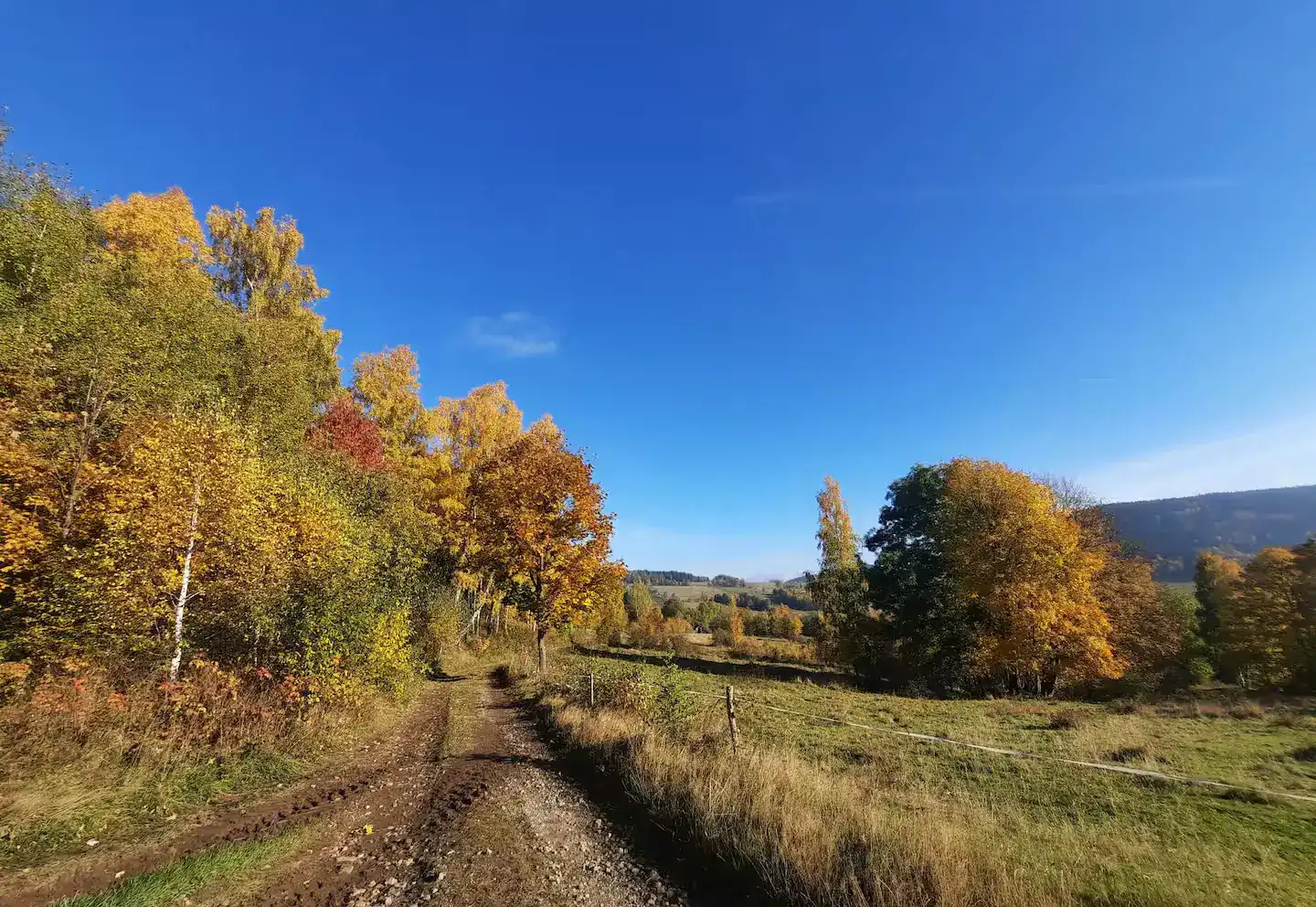 Herbstlandschaft beim Ferienhaus