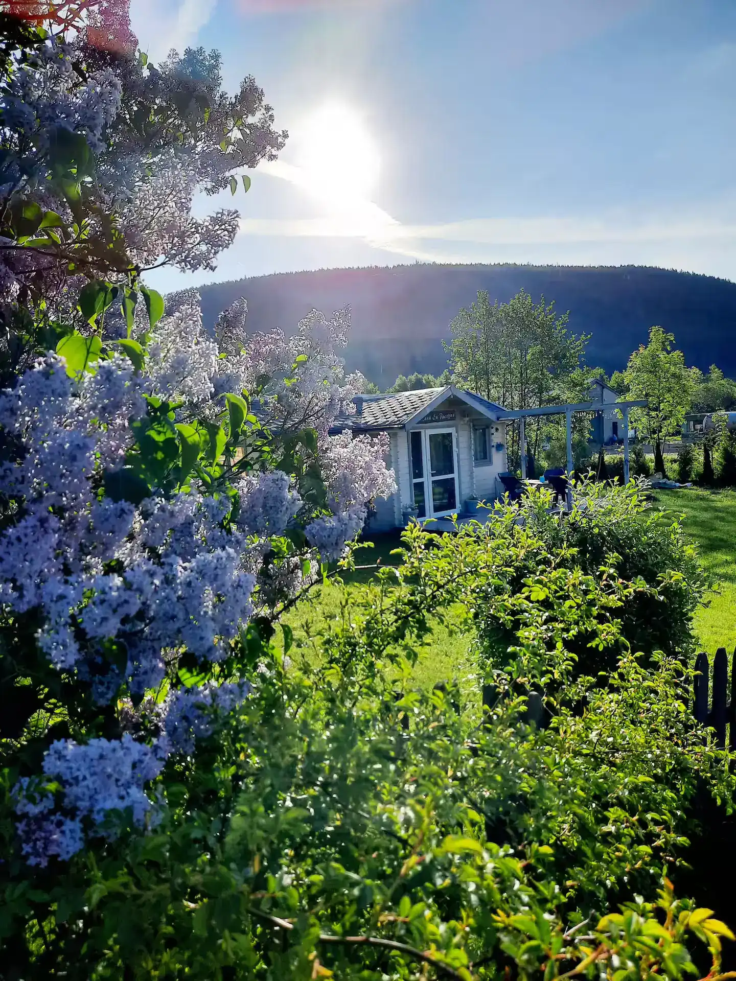 Blumen und Bergblick
