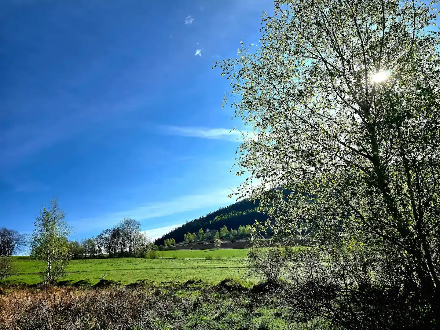 Blick auf die umliegenden Hügel