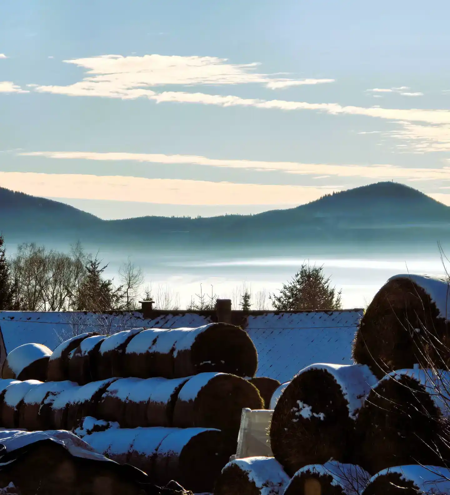 Winterlandschaft aus der Sauna