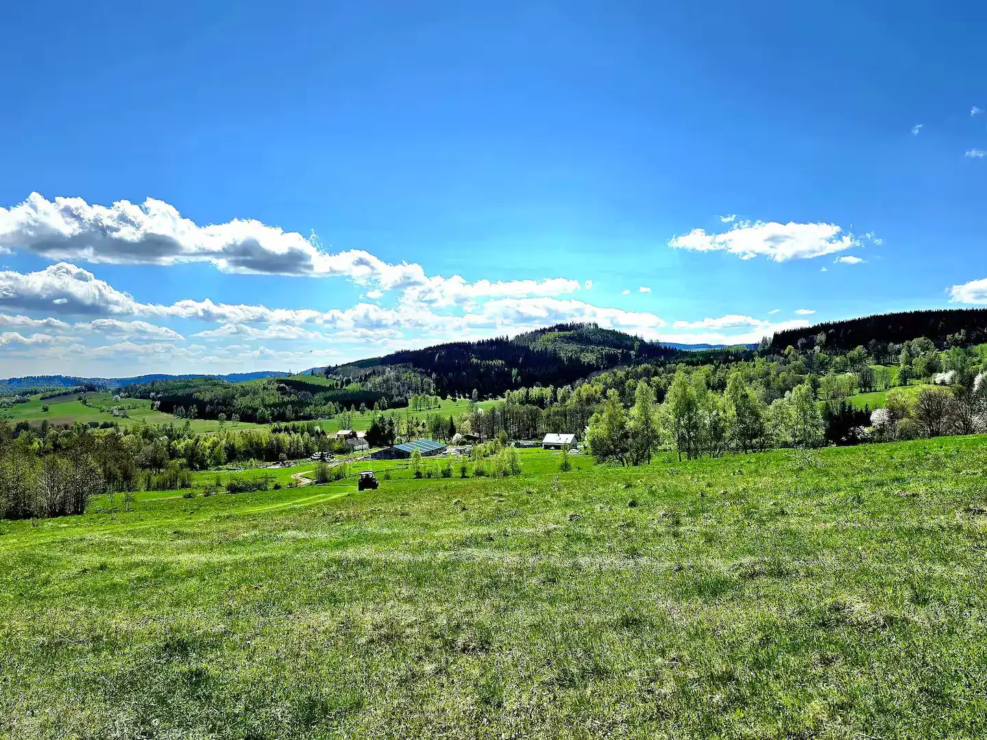 Panorama von Wiesen und Bergen