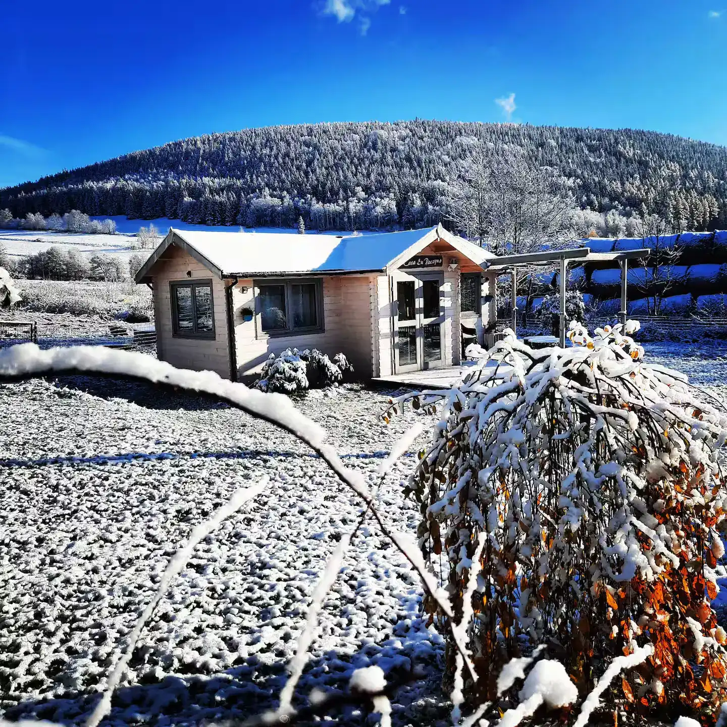 Ferienhaus nach Schneefall