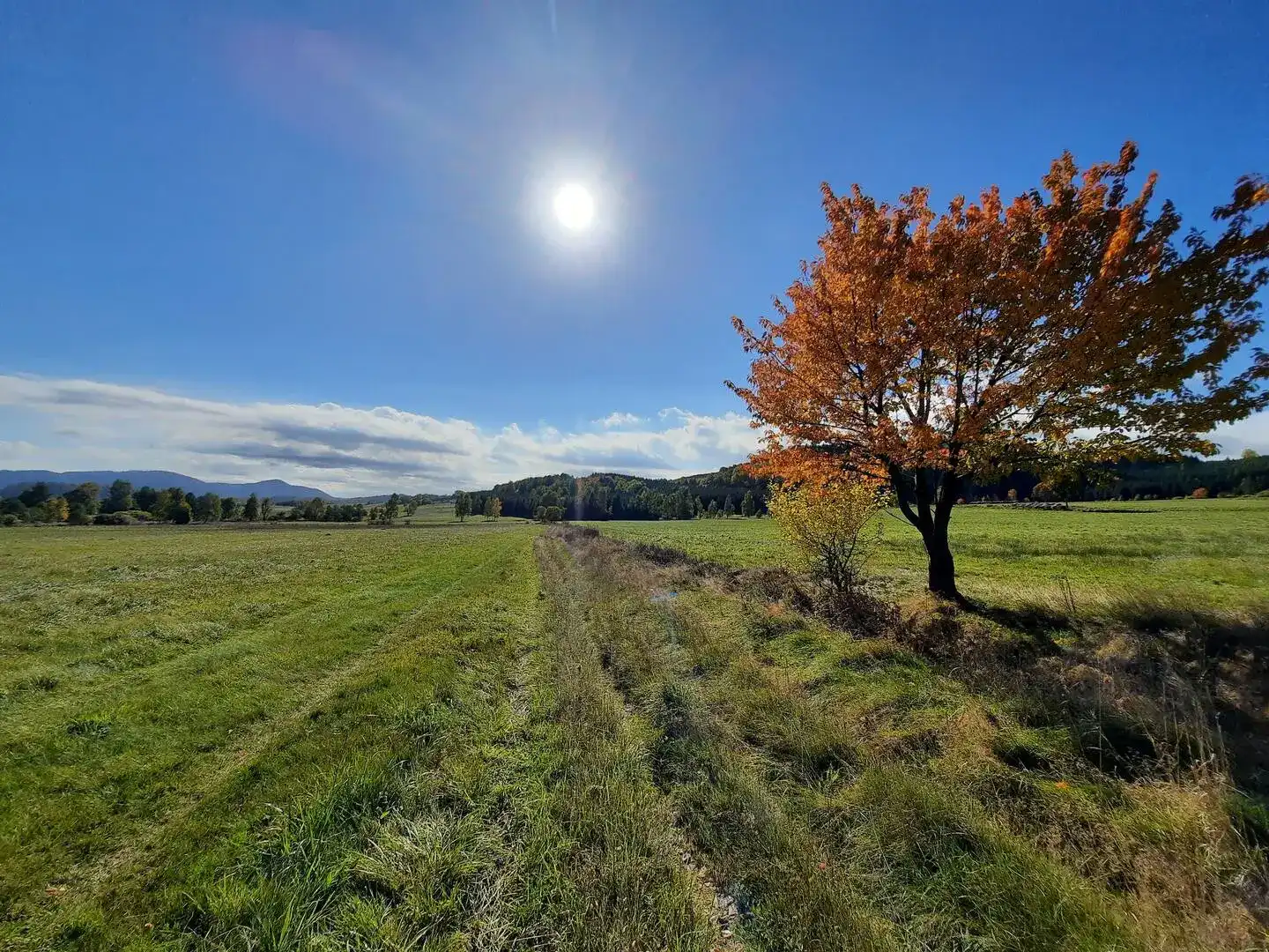 Herbstlandschaft der Landeshuter Pforte