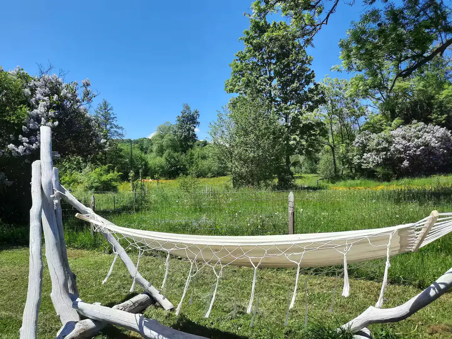 Hängematte im Garten
