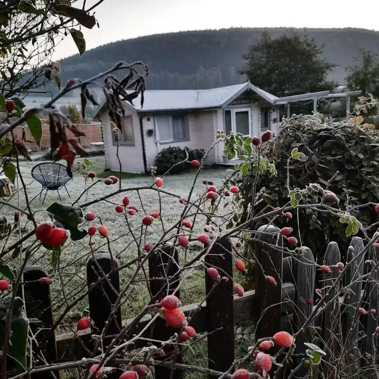 Ferienhaus und Blumen im Garten