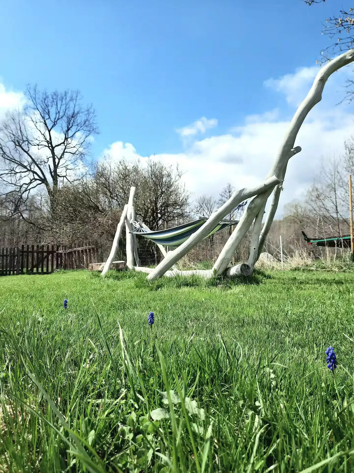 Hängematte im Frühlingsgrün