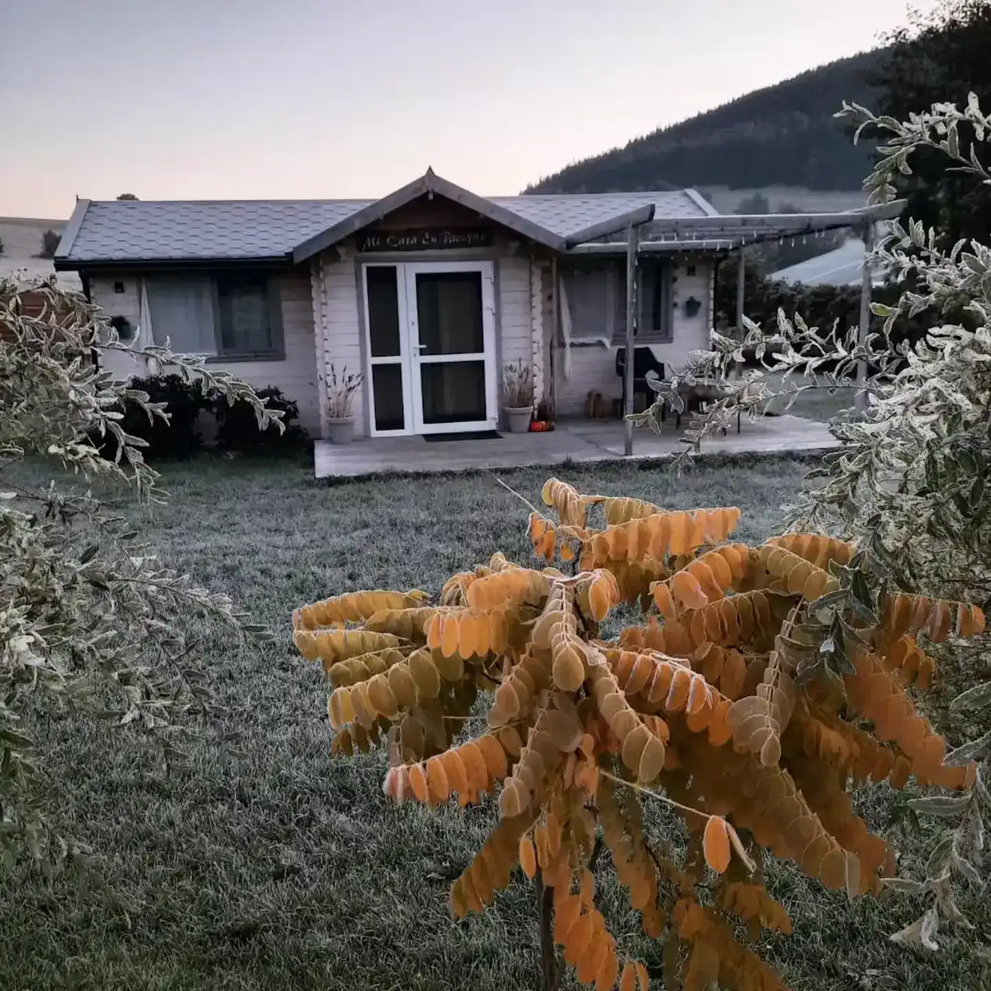 Ferienhaus zwischen Pflanzen
