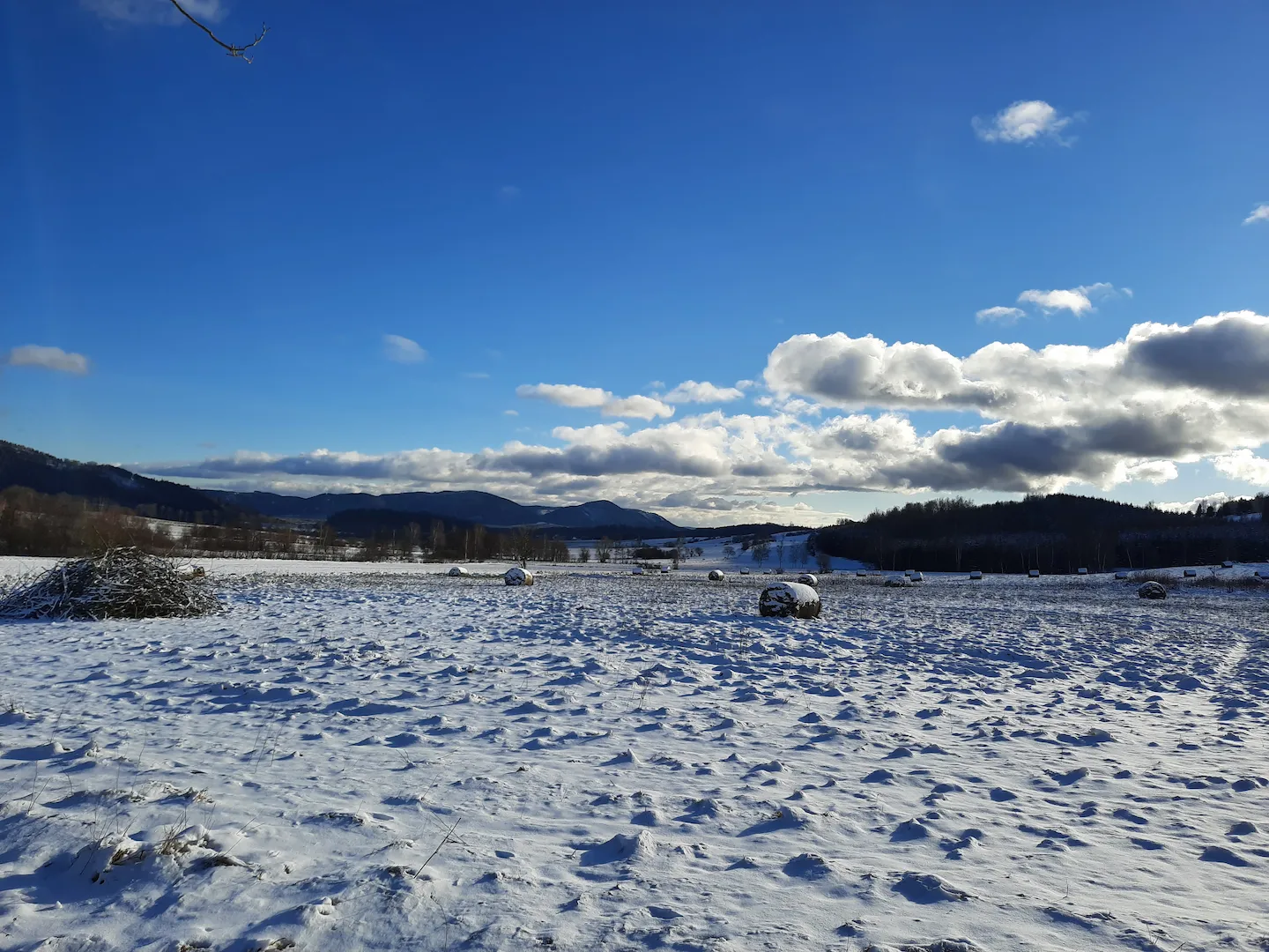 Verschneite Felder vor den Bergen